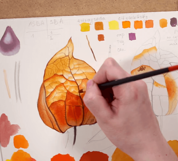 Painting Physalis with Watercolors