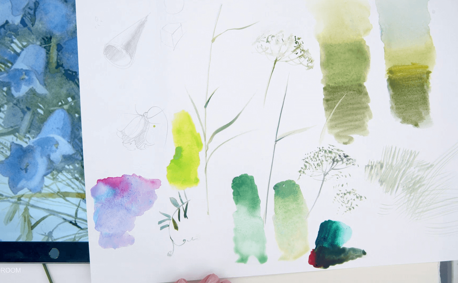 Fragments of an online drawing lesson «Painting Wildflower Bouquets in Watercolor with Elena Bazanova» — Painting from Elena Bazanova