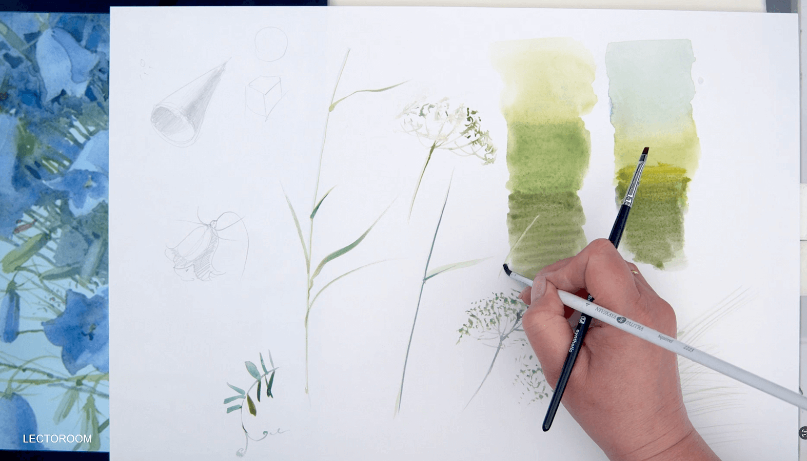 Fragments of an online drawing lesson «Painting Wildflower Bouquets in Watercolor with Elena Bazanova» — Painting from Elena Bazanova