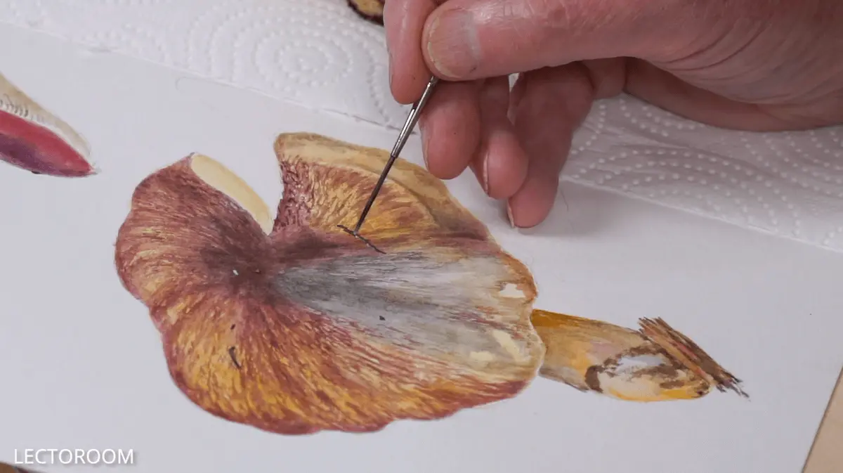 Fragments of an online drawing lesson «Botanical painting.  Russula» — Watercolour from Alexander Vyazmensky