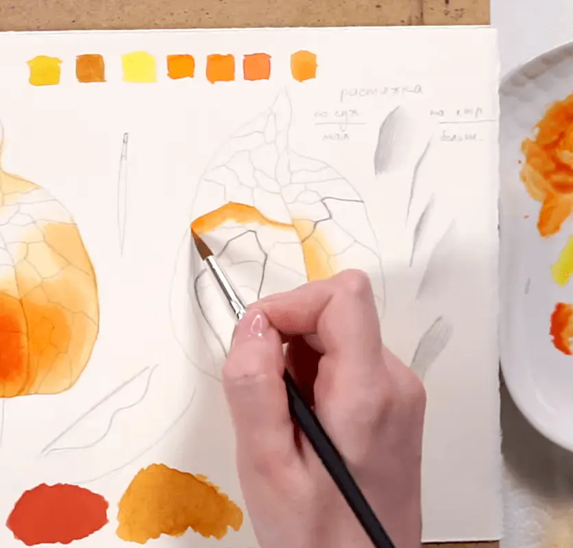 Fragments of an online drawing lesson «Painting Physalis with Watercolors» — Botanical painting from Svetlana Lanse