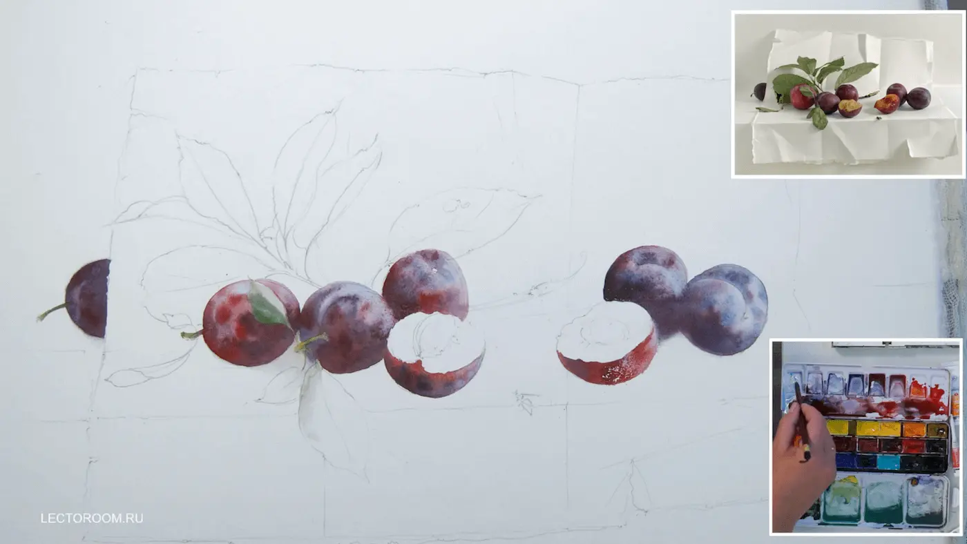 Fragments of an online drawing lesson «Plums on watercolor paper» from Elena Bazanova