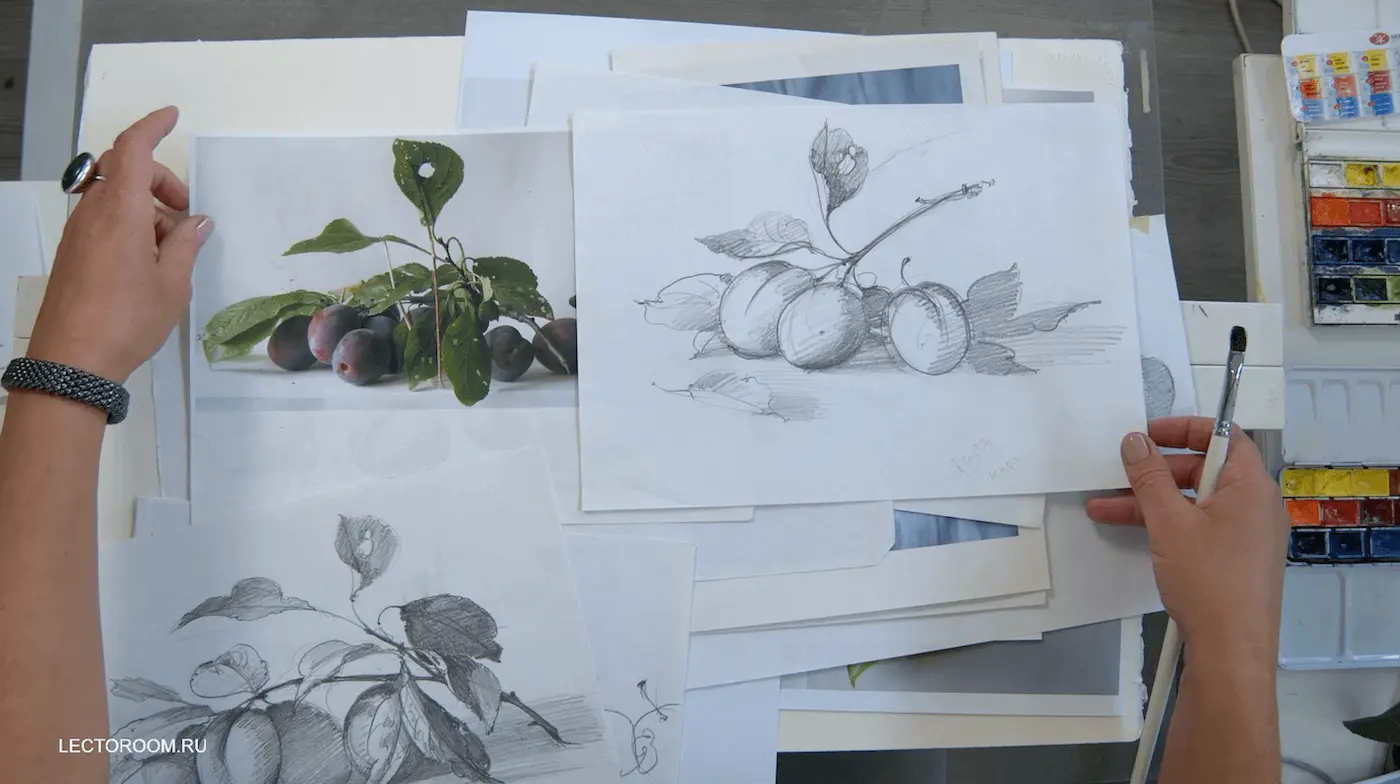 Fragments of an online drawing lesson «Plums on watercolor paper» from Elena Bazanova