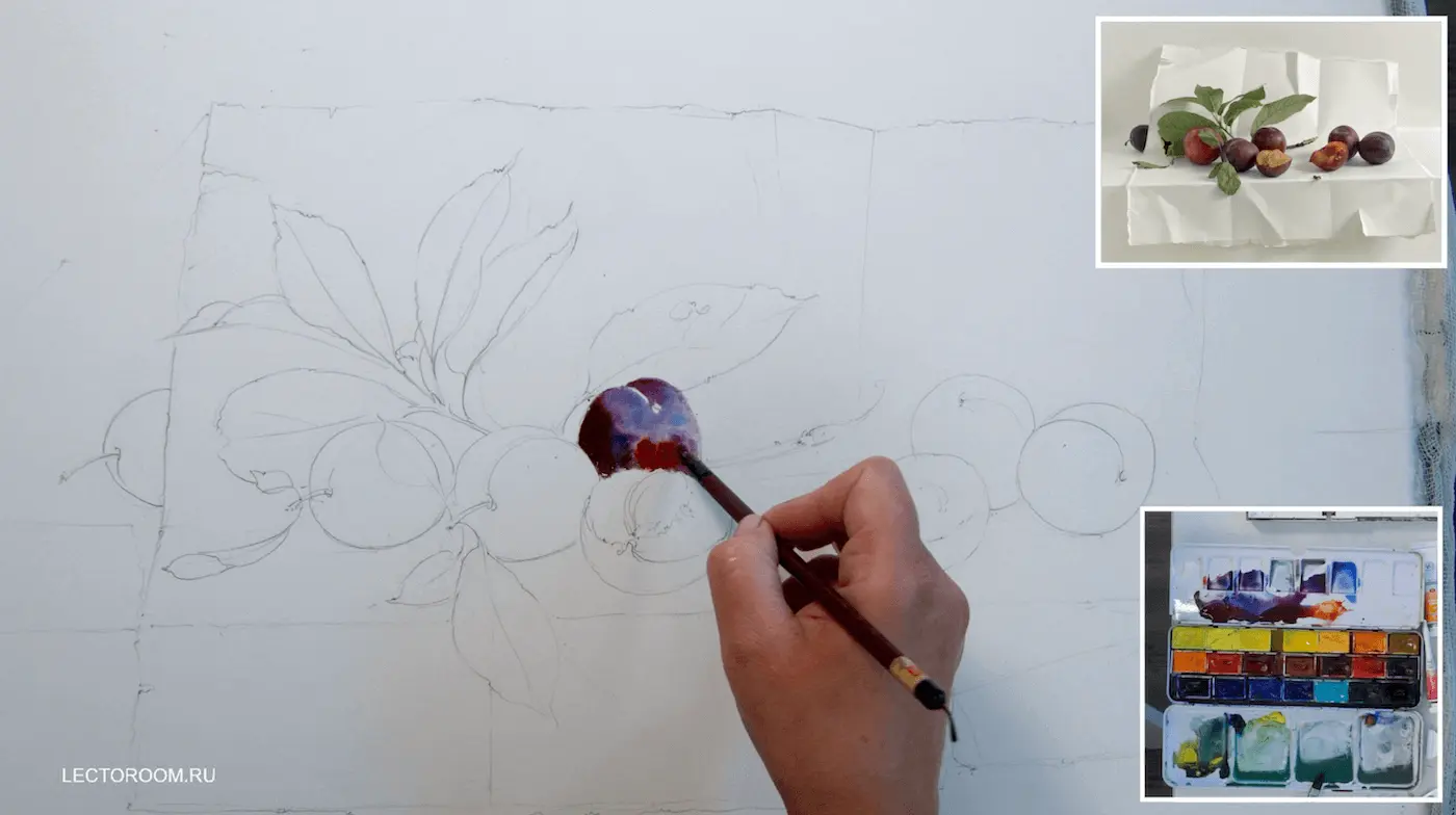 Fragments of an online drawing lesson «Plums on watercolor paper» from Elena Bazanova