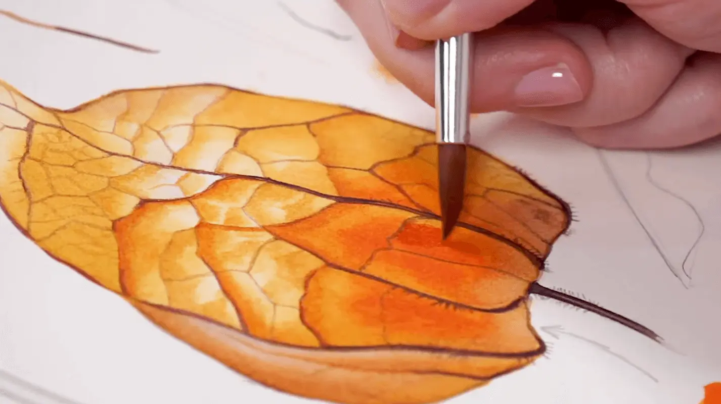 Fragments of an online drawing lesson «Painting Physalis with Watercolors» — Botanical painting from Svetlana Lanse