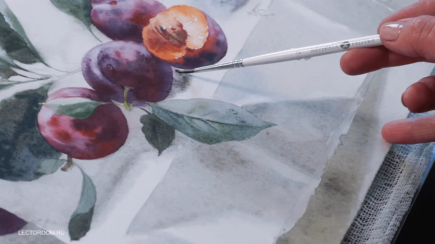 Fragments of an online drawing lesson «Plums on watercolor paper» from Elena Bazanova