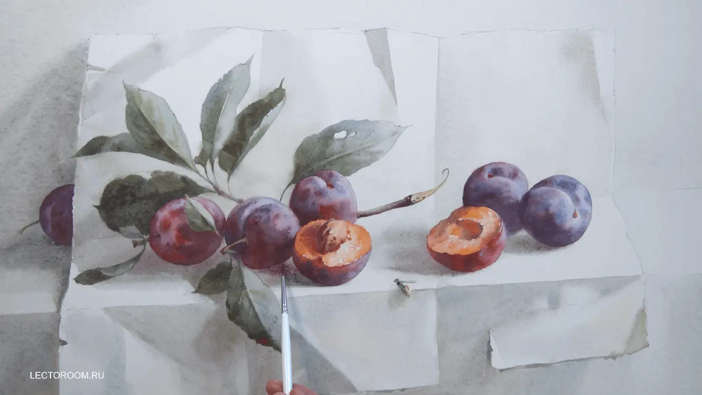 Image from an online drawing lesson «Plums on watercolor paper»  from Elena Bazanova