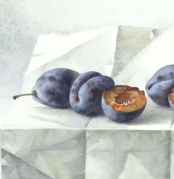 Online drawing lesson «Plums on watercolor paper» by en from Elena Bazanova