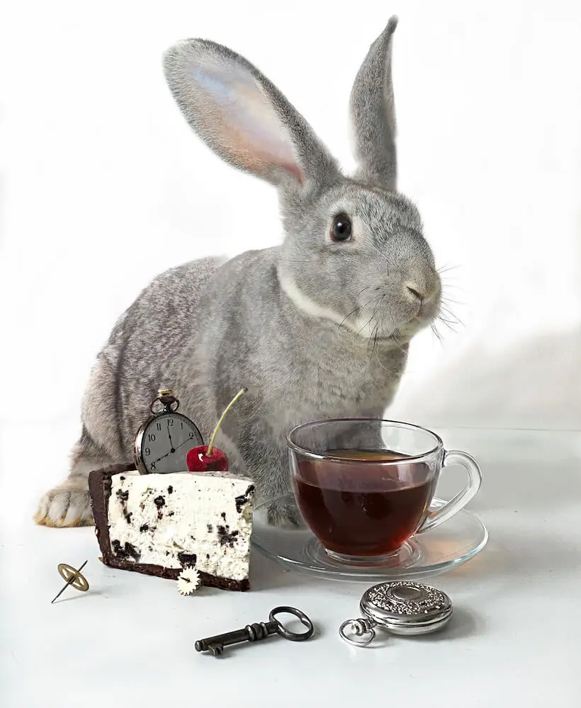 Icon «Mad tea party with rabbit, part 1» from the course